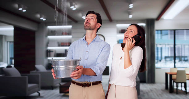 Best Professional water damage repair  in Eagle Lake, FL